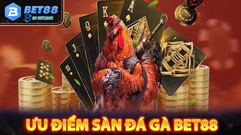 Những điểm hấp dẫn của nhà cái đá gà BET88