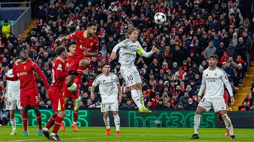 Bet Shop Live: Guide to Thrilling Live Betting